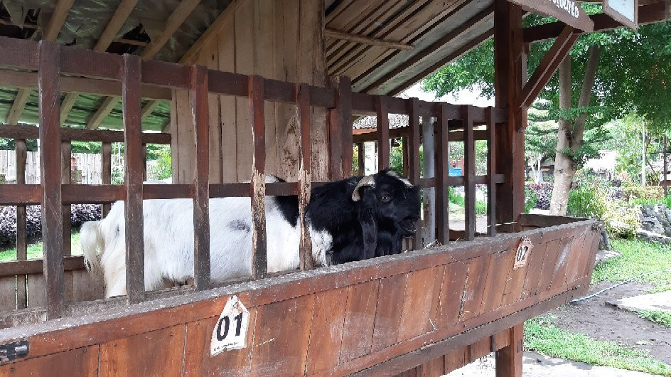 Bhumi Merapi Eco Tourism-Sleman必去景点