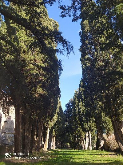 Castello di Madonna Antonia景点图片