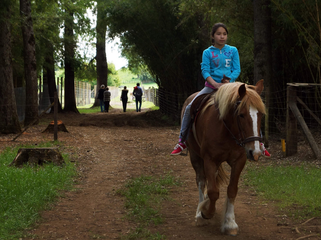 Equspatagonia-特木科必去景点