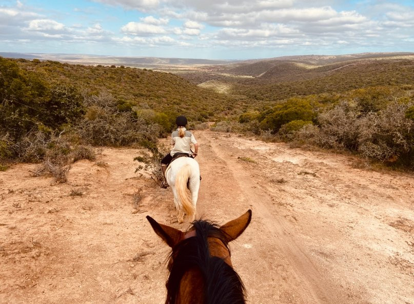 Amakhala Horse Trails-伊丽莎白港必去景点