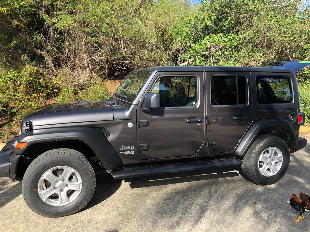 Jerry's Jeep Rental-库莱布拉岛必去景点