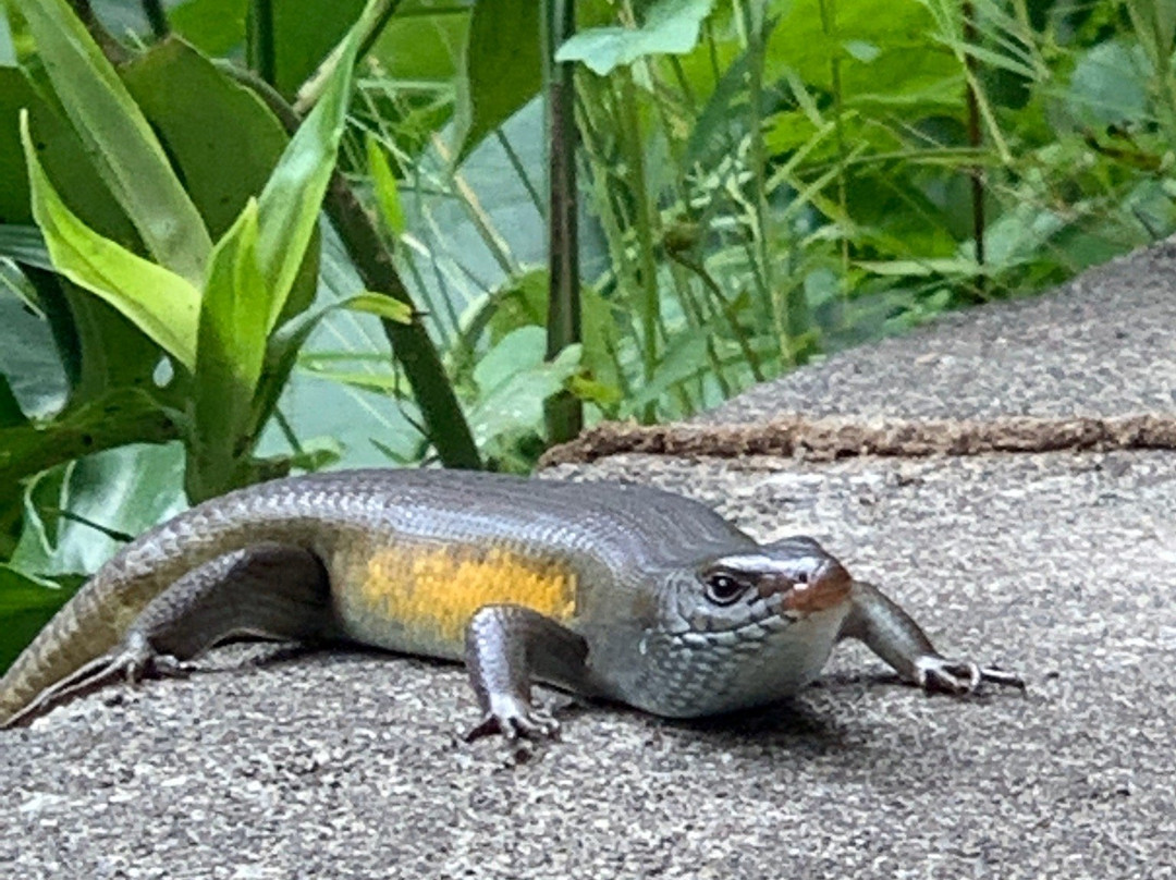 阿旺阿旺别墅主图