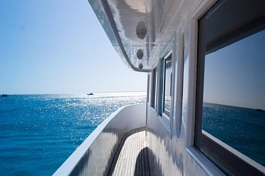 Cantamar Liveaboards-Isla Socorro必去景点