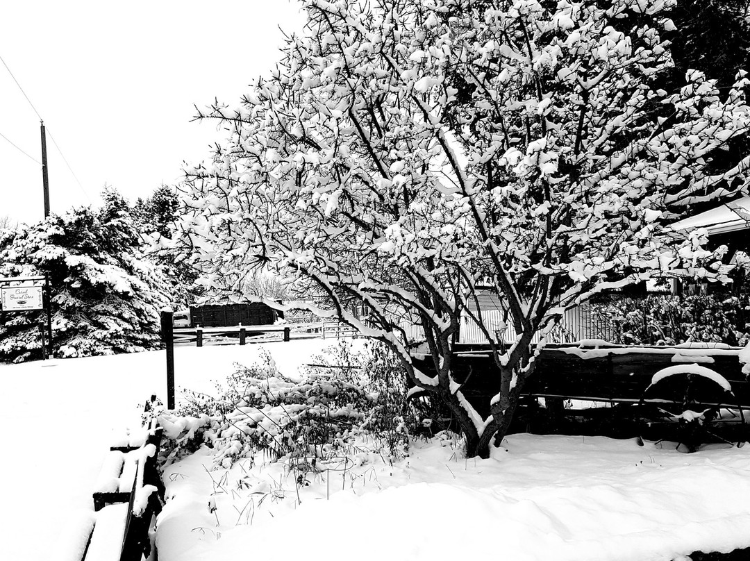 Carvel General Store-Carvel必去景点