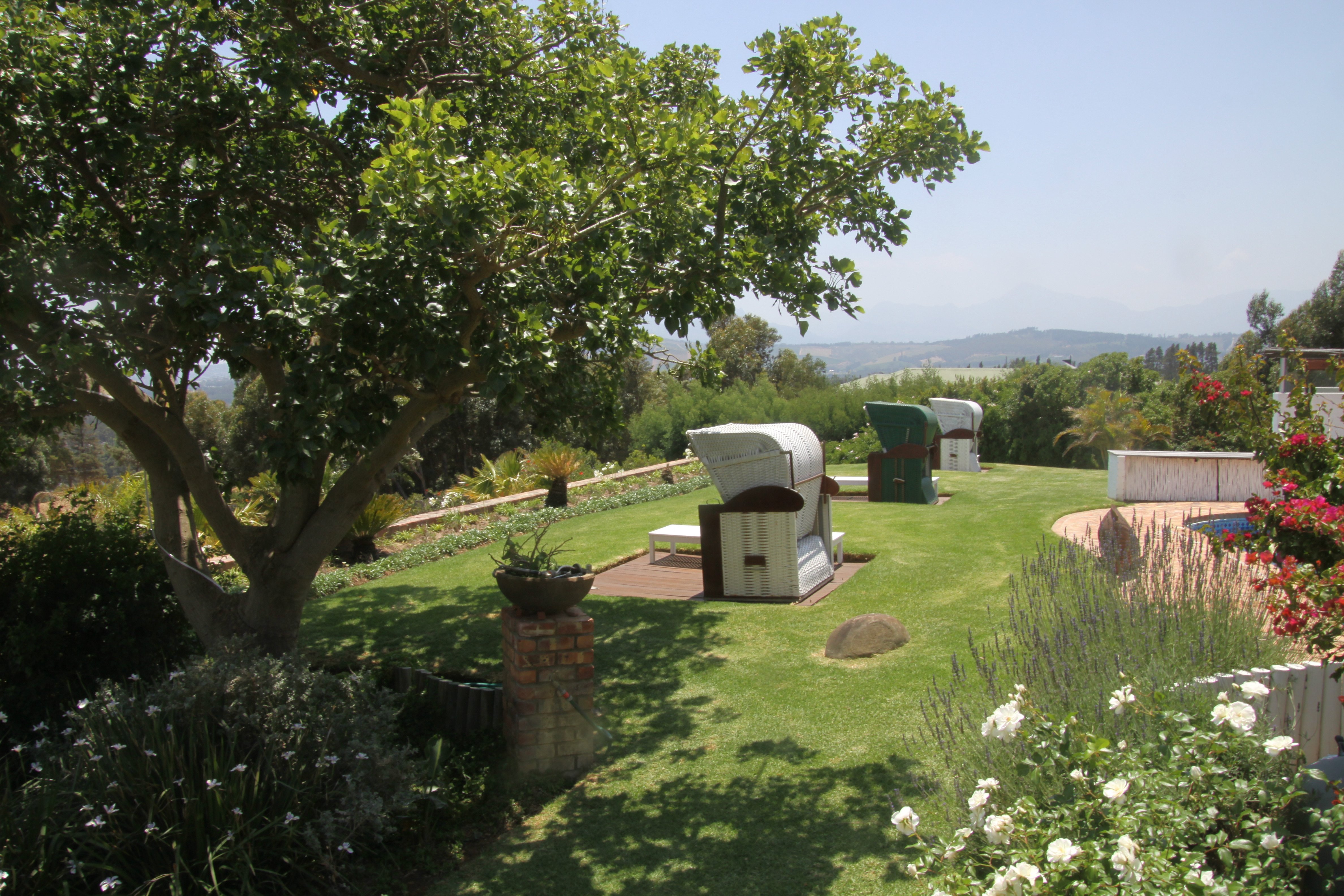 Apricot Gardens Boutique Guesthouse-泳池