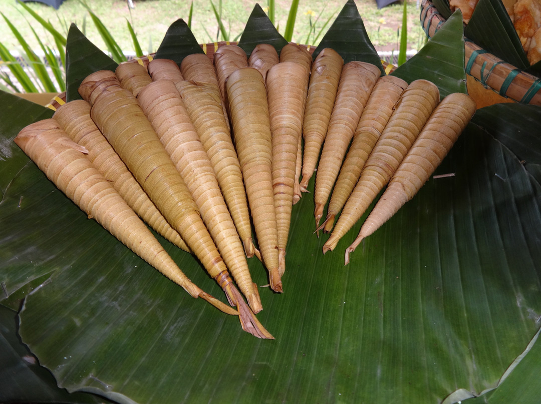 婆罗浮屠曼诺哈拉假日酒店主图
