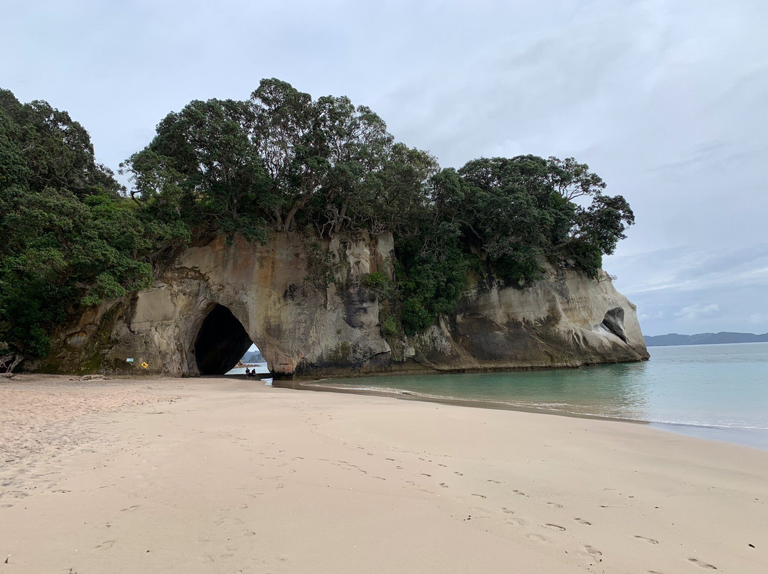 Tui Tours-奥克兰中心地区必去景点