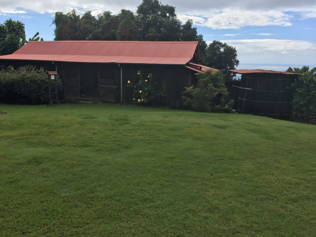 科纳咖啡历史农园-库克船长必去景点