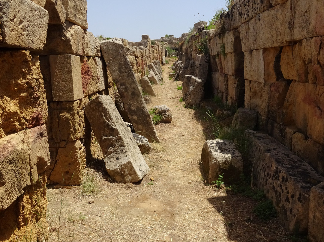 Parco Archeologico Selinunte-Castelvetrano必去景点