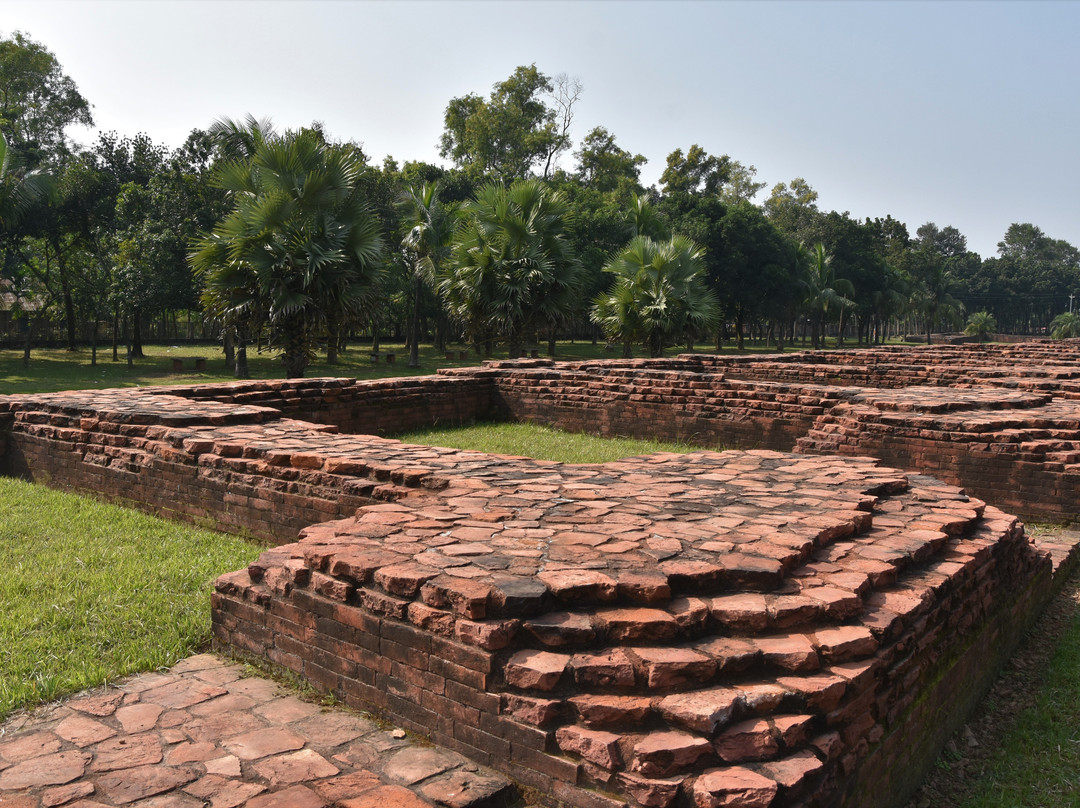 Ruins of the Buddhist Vihara at Paharpur景点图片