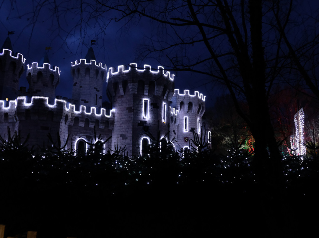 LEGOLAND Castle Hotel主图