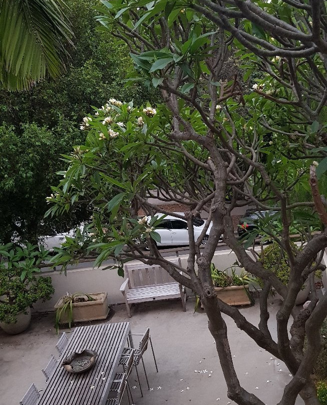 邦迪海滩别墅住宿加早餐旅馆主图