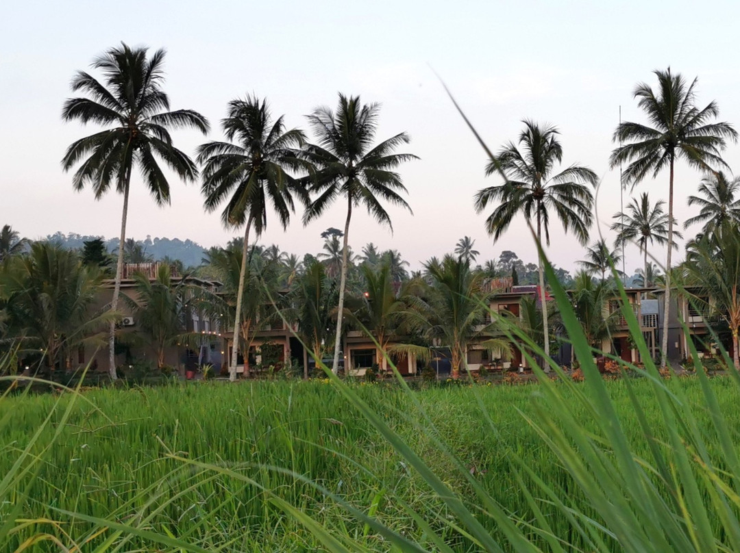 Grand Harvest Resort and Villas主图