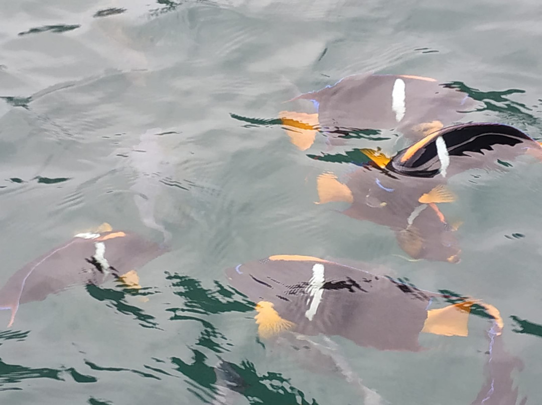 Isla de la Plata-Machalilla National Park必去景点