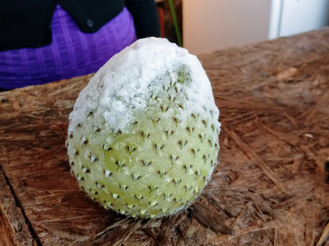 Embalse Puclaro-Vicuna必去景点