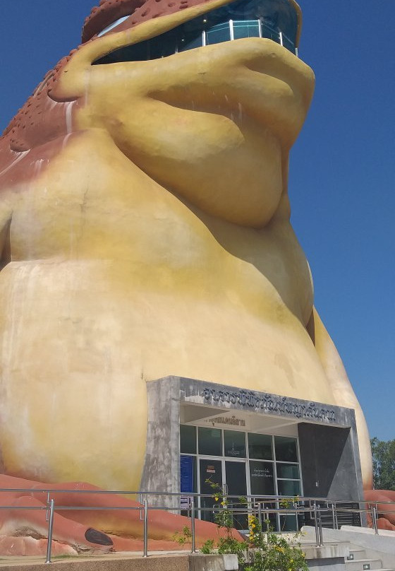 Phaya Thaen Public Park景点图片