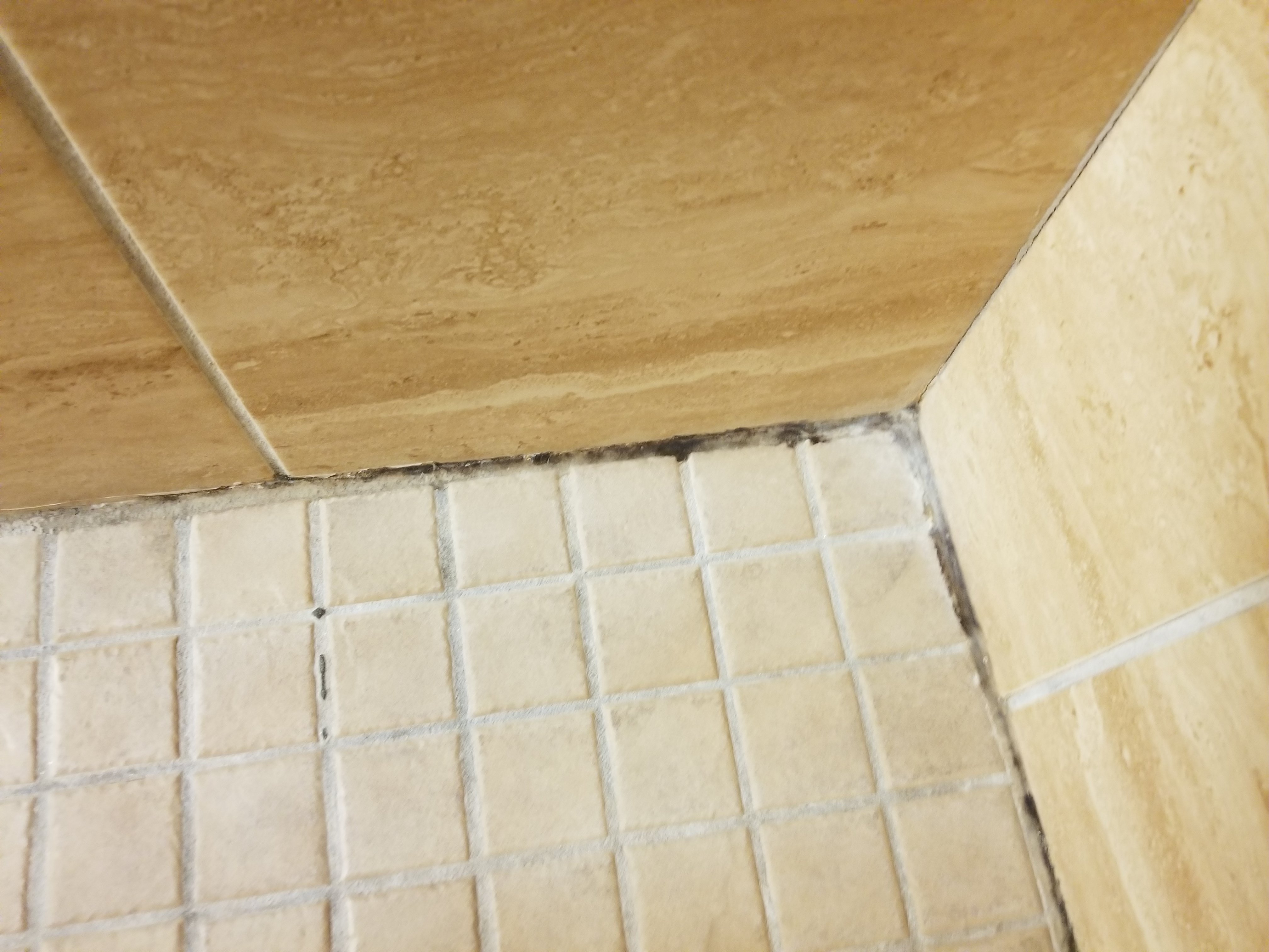 Microtel Inn & Suites By Wyndham Quincy Downtown/river Area-浴室