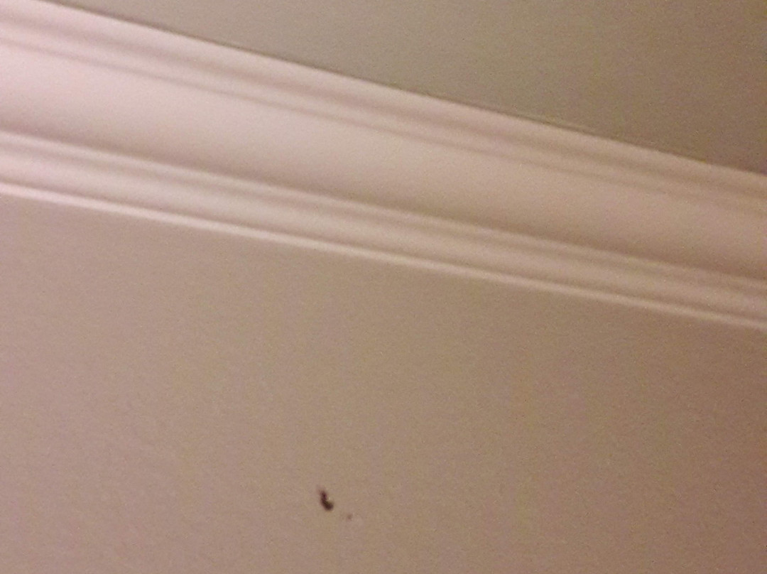 Hotel Walserwirt主图