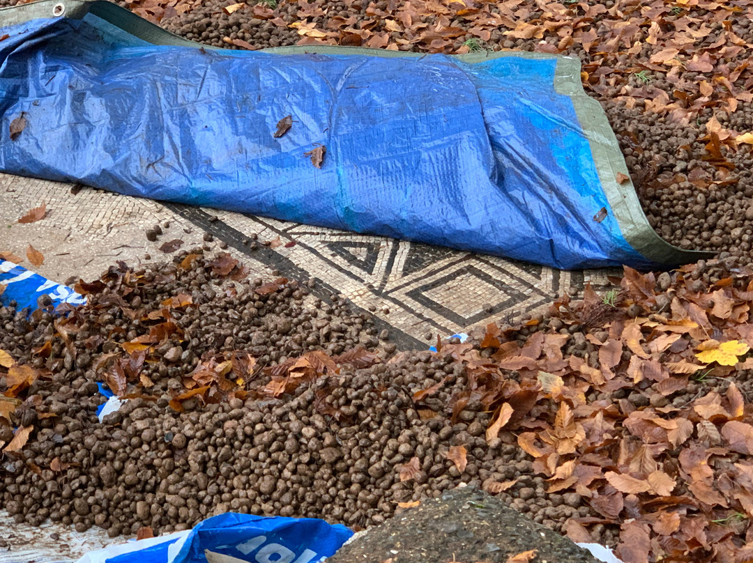 Villa di Orazio-Licenza必去景点