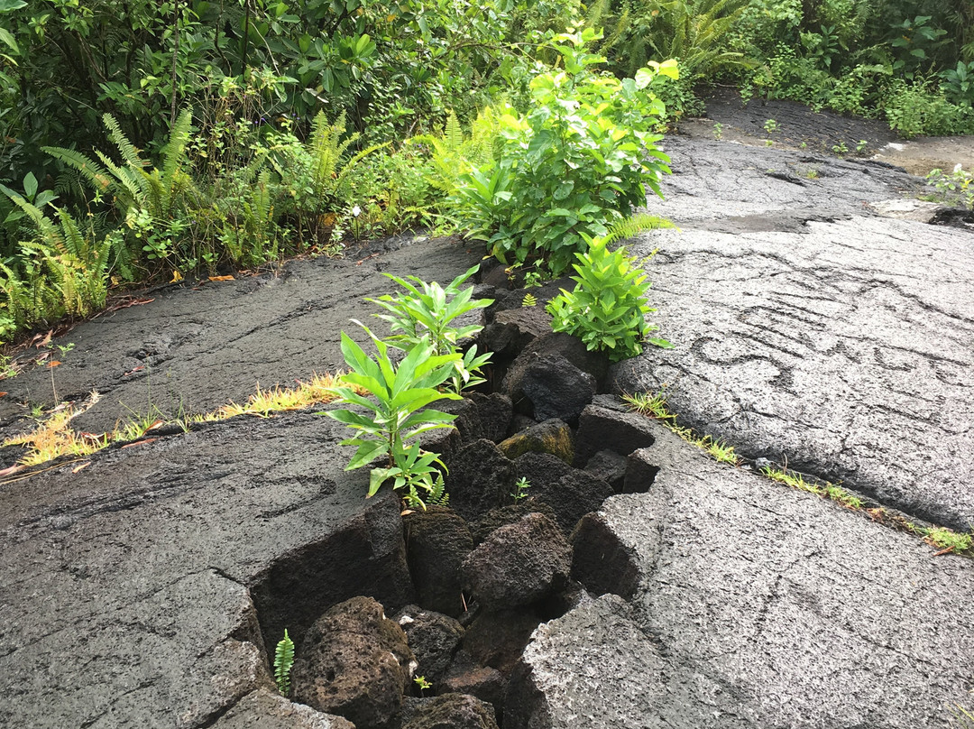Saleaula Lava Fields-萨瓦伊岛必去景点