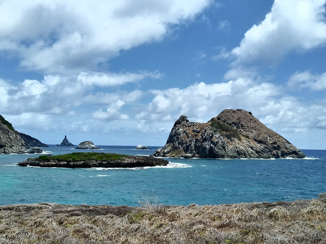 Forte Sao Joaquin do Sueste-费尔南多-迪诺罗尼亚群岛必去景点
