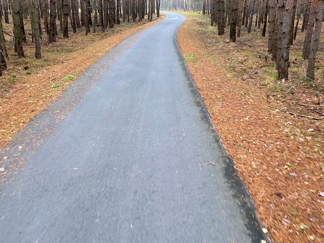 Flaeming Skate-Luckenwalde必去景点