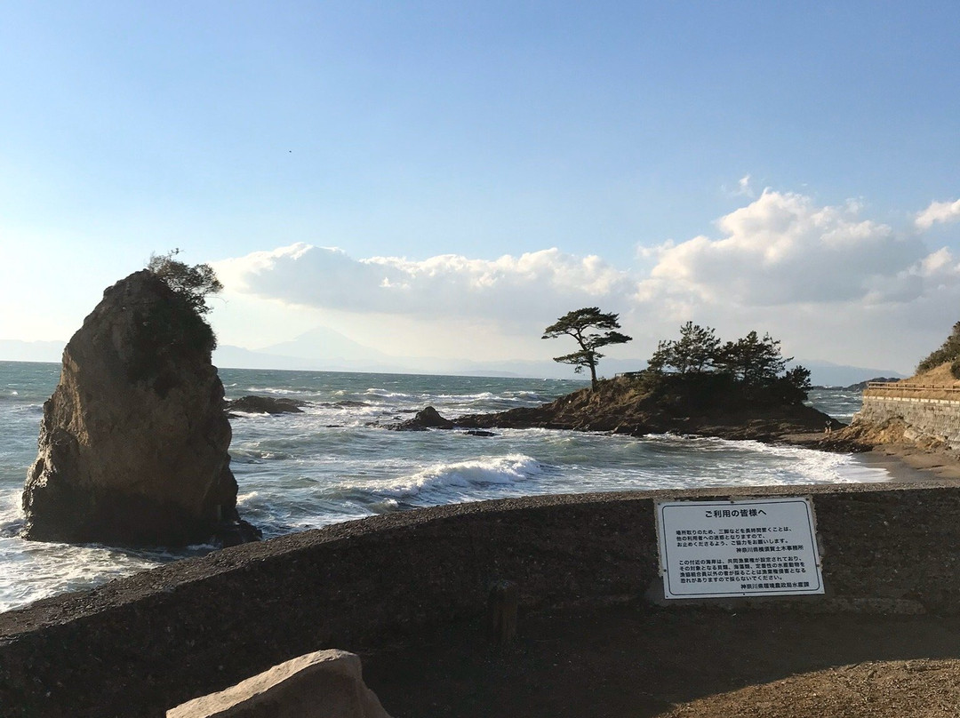 Tateishi Park景点图片