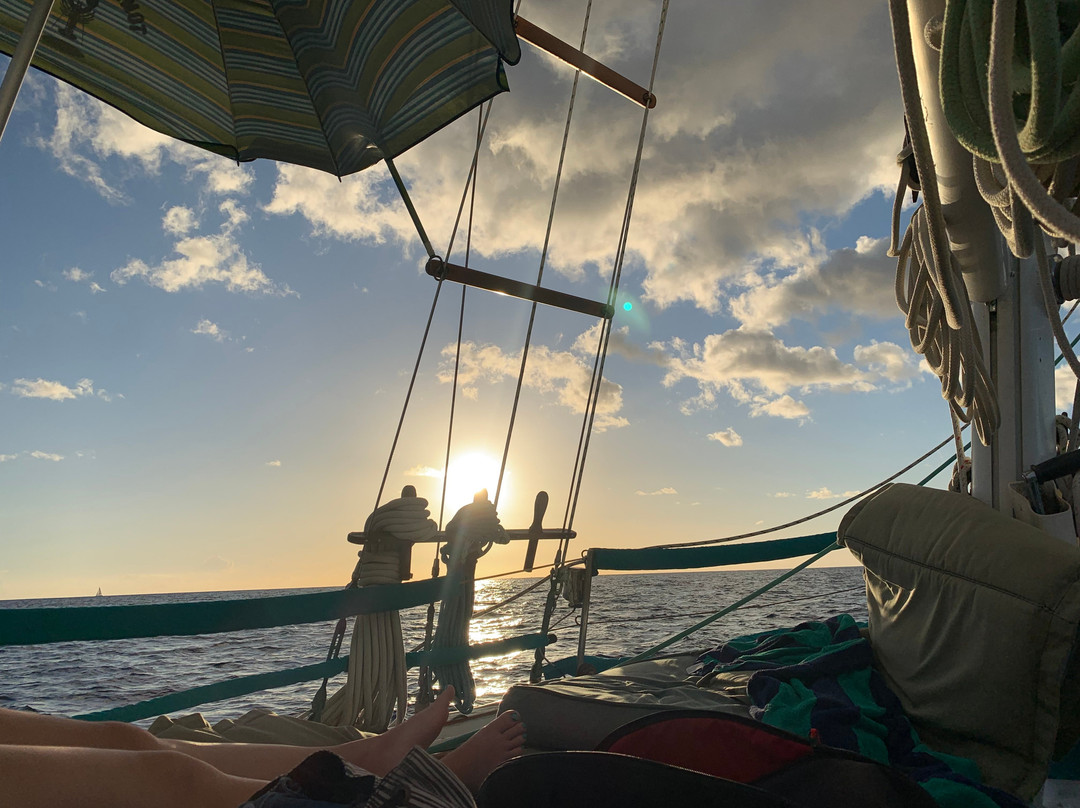 Kona Sail Charters-凯鲁瓦-柯纳必去景点