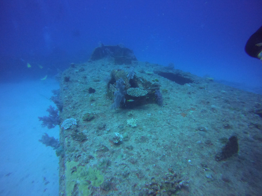 Maritim Diving Centre景点图片