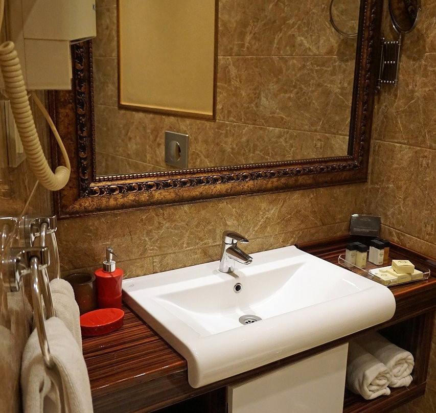 Sivas Buruciye Otel主图