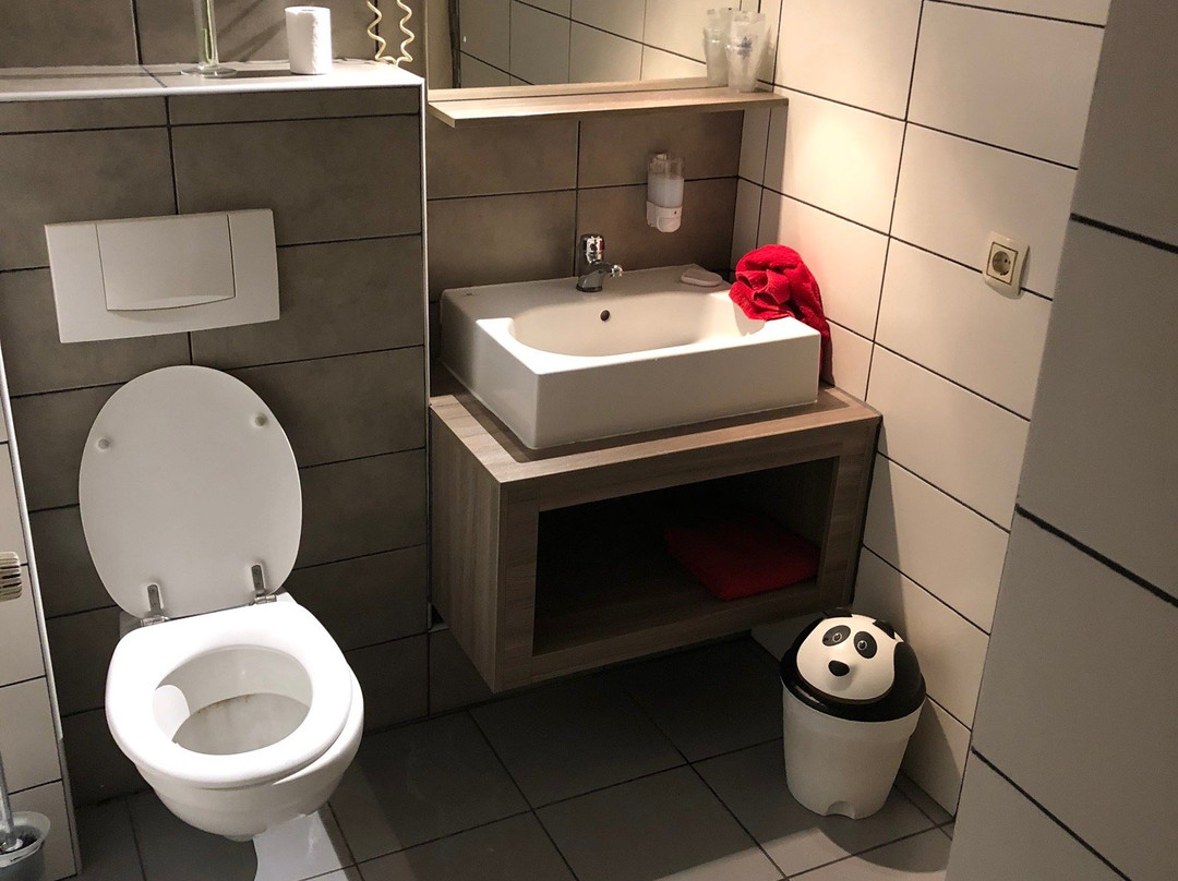 嘎基丽欧蒂主图