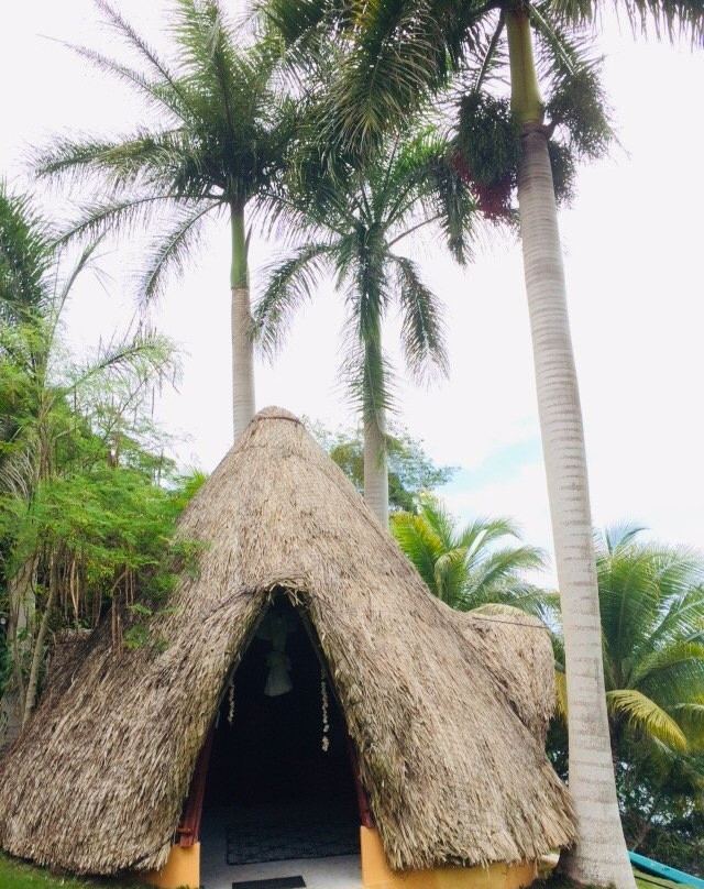 Agave Blue Bacalar主图