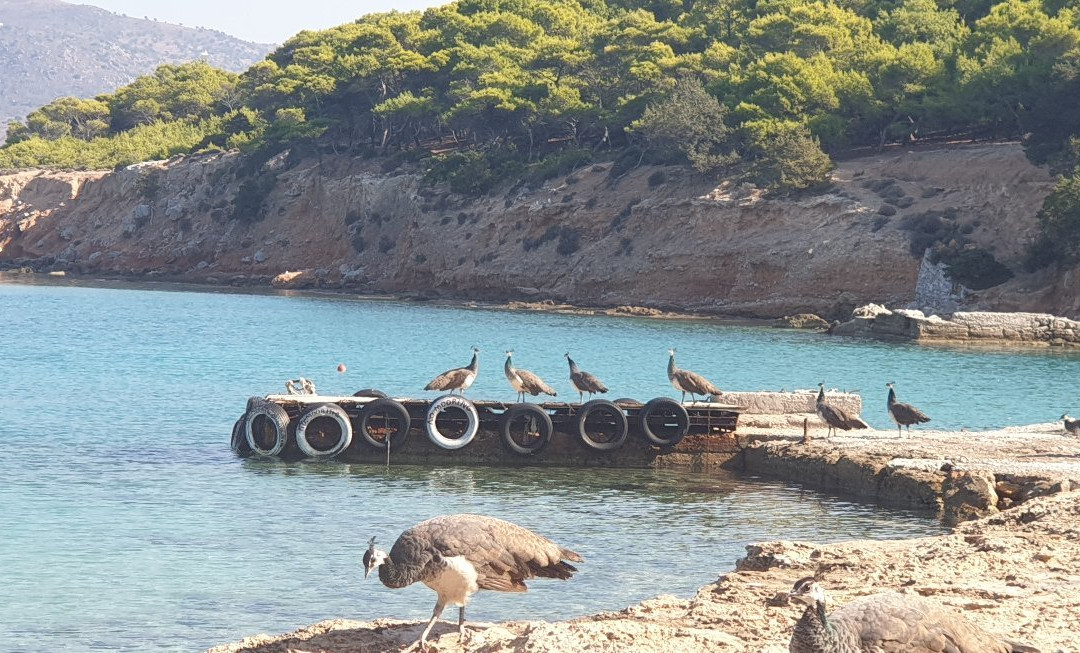 OpenSea RIB Charter-Anavyssos必去景点