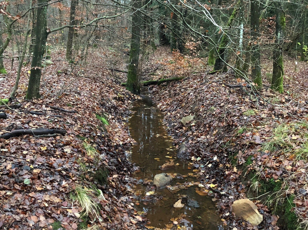 Skrylle Nature reserve-隆德必去景点