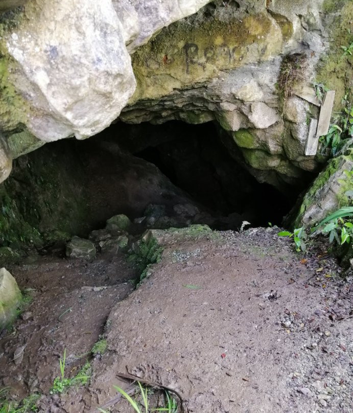 Cobden Cave景点图片