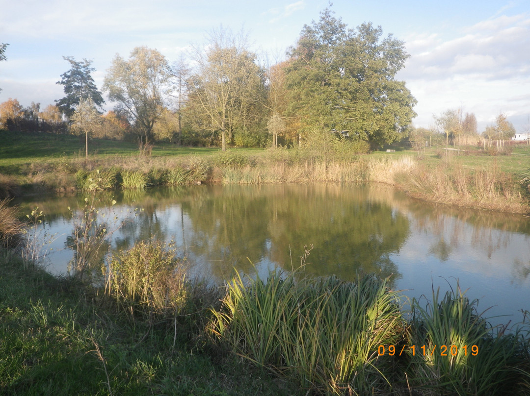 Parc De La Deûle - Espace Naturel Des Périseaux景点图片