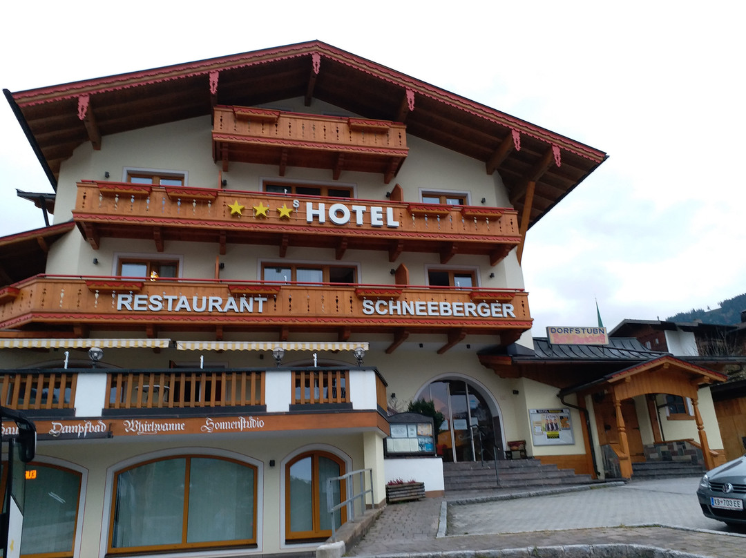Hotel Schneeberger主图