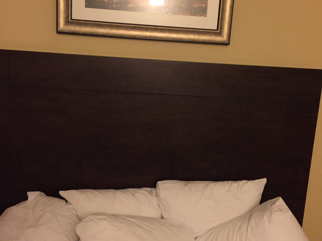 MainStay Suites St. Louis - Airport主图