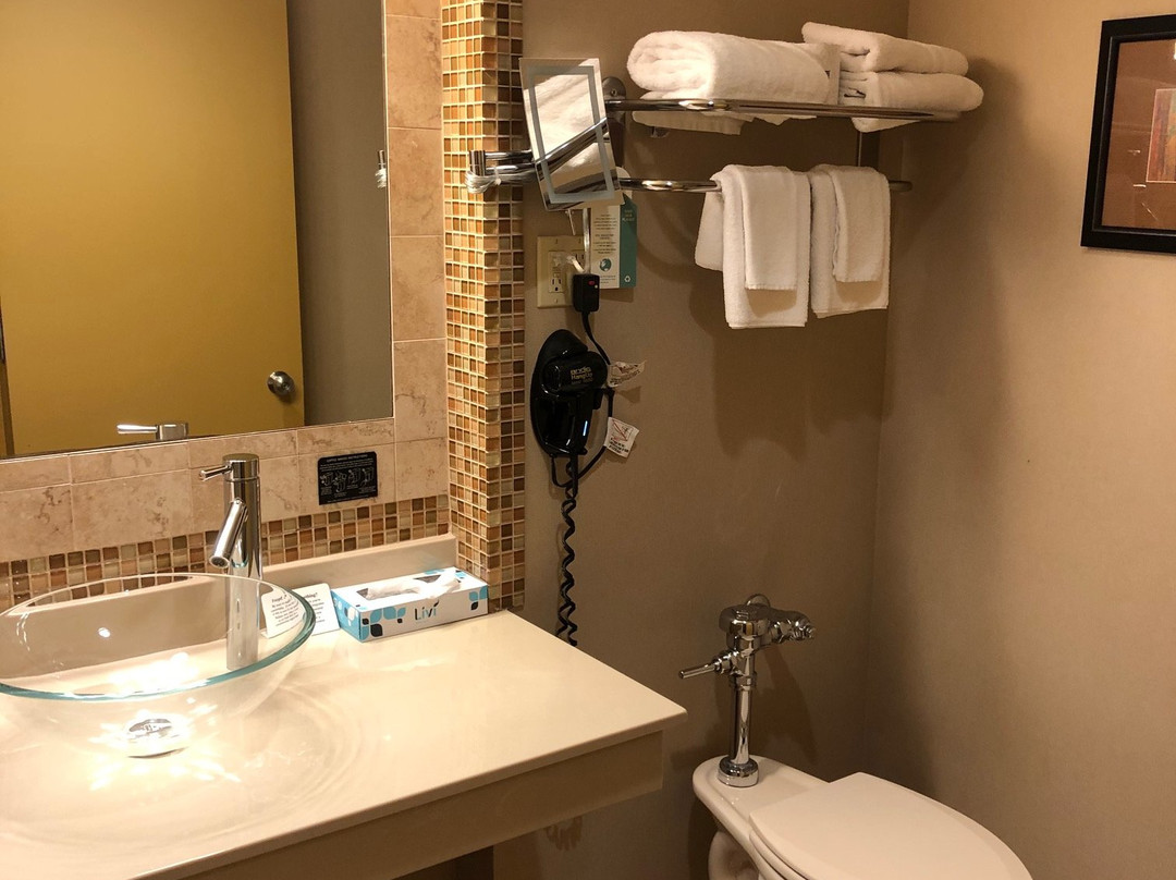 University Hotel at Sam Houston State主图