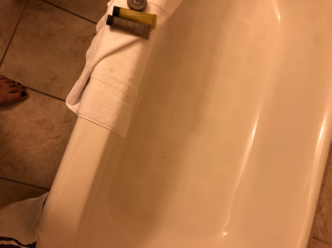 Dancing Rabbit Inn主图