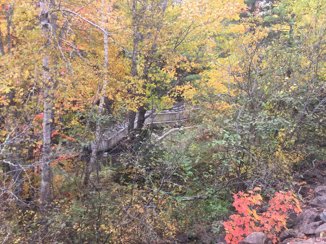 Irishtown Nature Park-蒙古顿必去景点