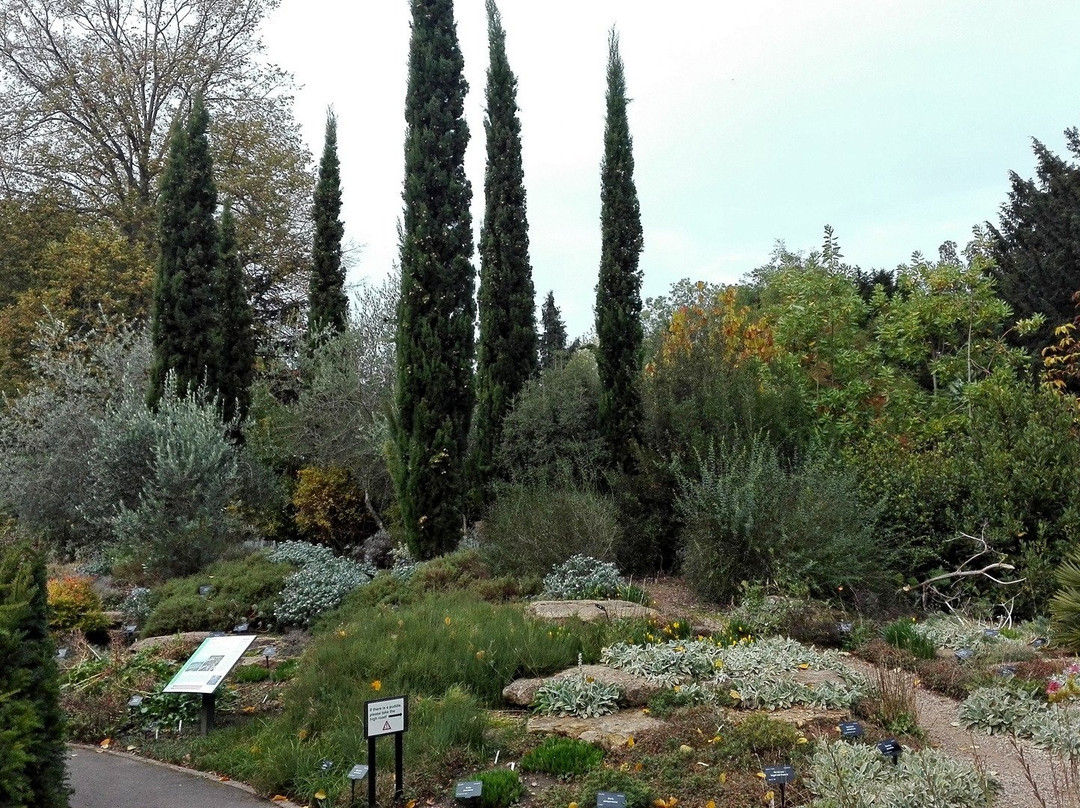 University of Bristol Botanic Garden景点图片