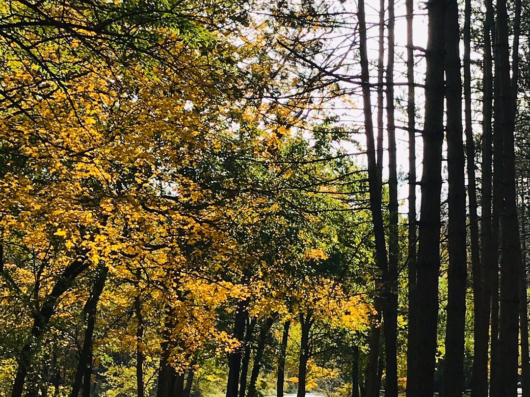 Beaver Creek State Park-East Liverpool必去景点