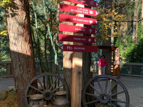 Viva Tours & Charters-北温哥华必去景点