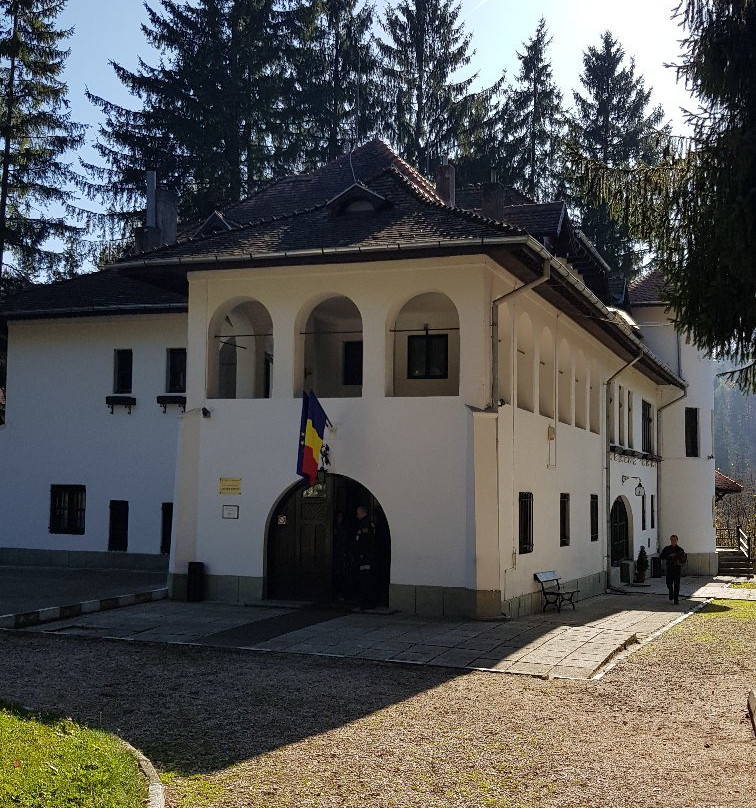 George Enescu Memorial House景点图片