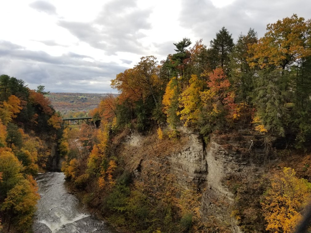 Fall Creek Suspension Bridge景点图片