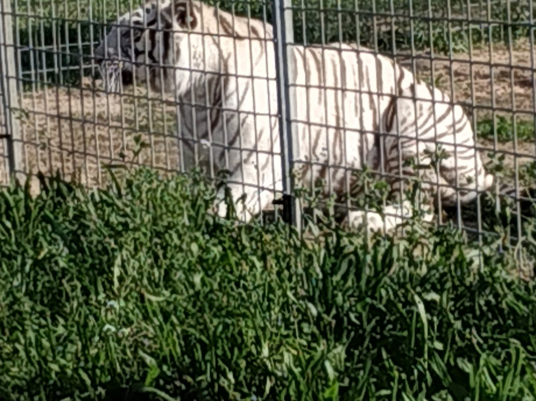 Parc Animalier De La Sainte Victoire景点图片