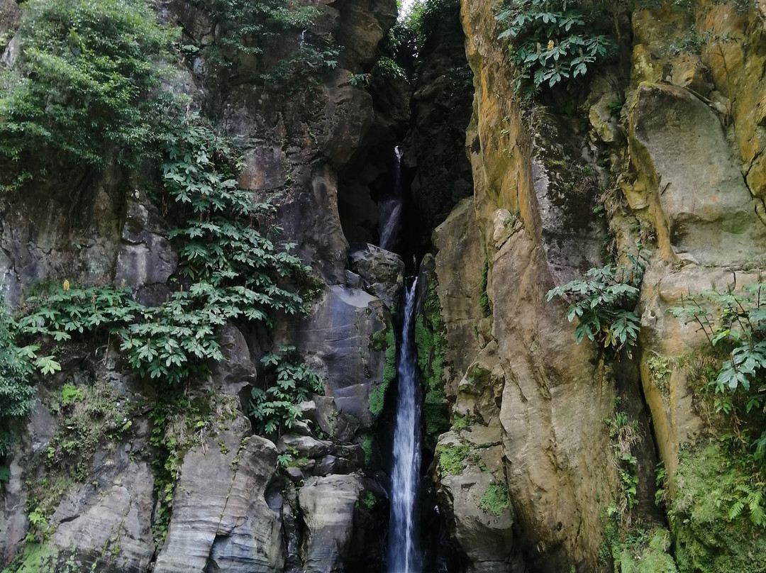 Greenzone Azores Tours-蓬塔德尔加达必去景点