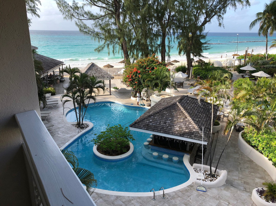 Bougainvillea Barbados主图