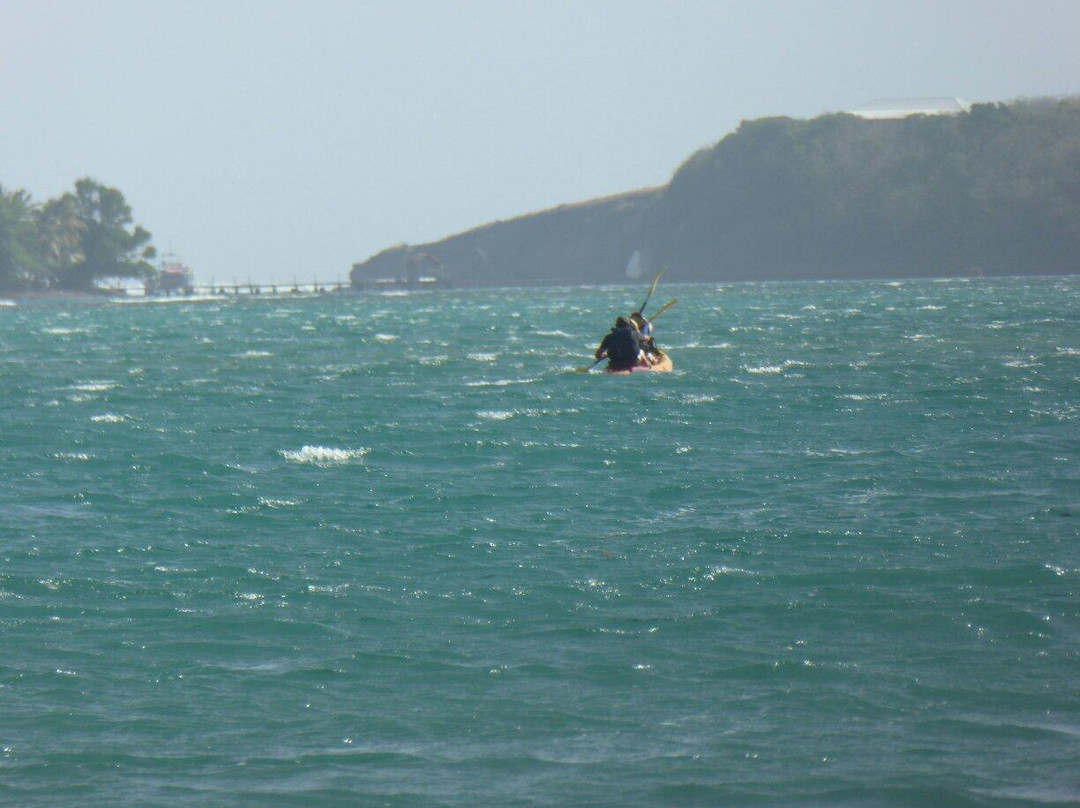 Les Kayaks des Ilets du Francois-Le Francois必去景点